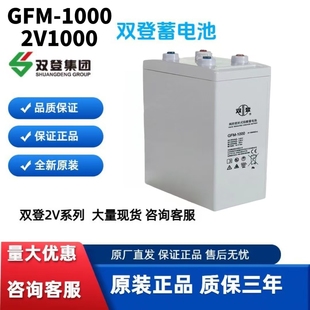 双登蓄电池GFM 1000蓄电池2V1000铅酸免维护储能设备UPS电源医疗
