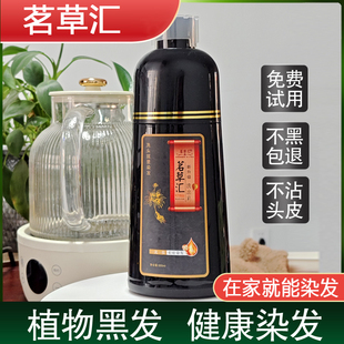 茗草汇白转黑洗发露  名草汇一洗洗黑植物一支黑彩色染发剂染发膏
