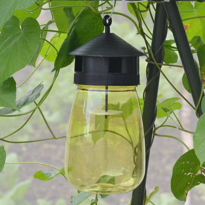 Fruit fly Trapping agent Drosophila melanogaster Drosophila melanogaster Trap Melon and fruit Fruit fly Agent Attractant Armyworm honeybeein the Flower delivery/Flowers simulation/Plants gardening , Gardening supplies , Other Garden Supplies  category - from Buy2taobao.com to provide professional Taobao agent buy service