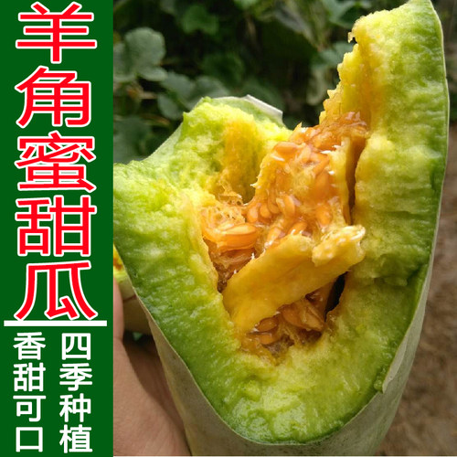 羊角蜜甜瓜种籽孑羊角酥水果脆甜香瓜甜瓜蔬菜籽秧苗四季菜园春播 - 封面