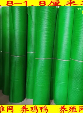 绿色塑料平网加厚养殖漏粪网床鸡鸭鹅脚垫网格片养鱼防护网育雏网
