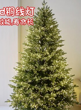 精选圣诞树装leld饰灯串挂件场景布置道具装扮氛围灯铜丝闪灯电池