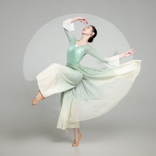 优选古典舞服g中国舞练功服舞蹈服女飘逸身韵弹力渐变纱衣古典舞