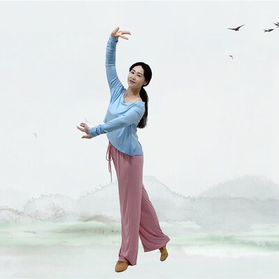 优选応子古典舞花又o落成人舞蹈服装中国风秋冬练功服演出服套装