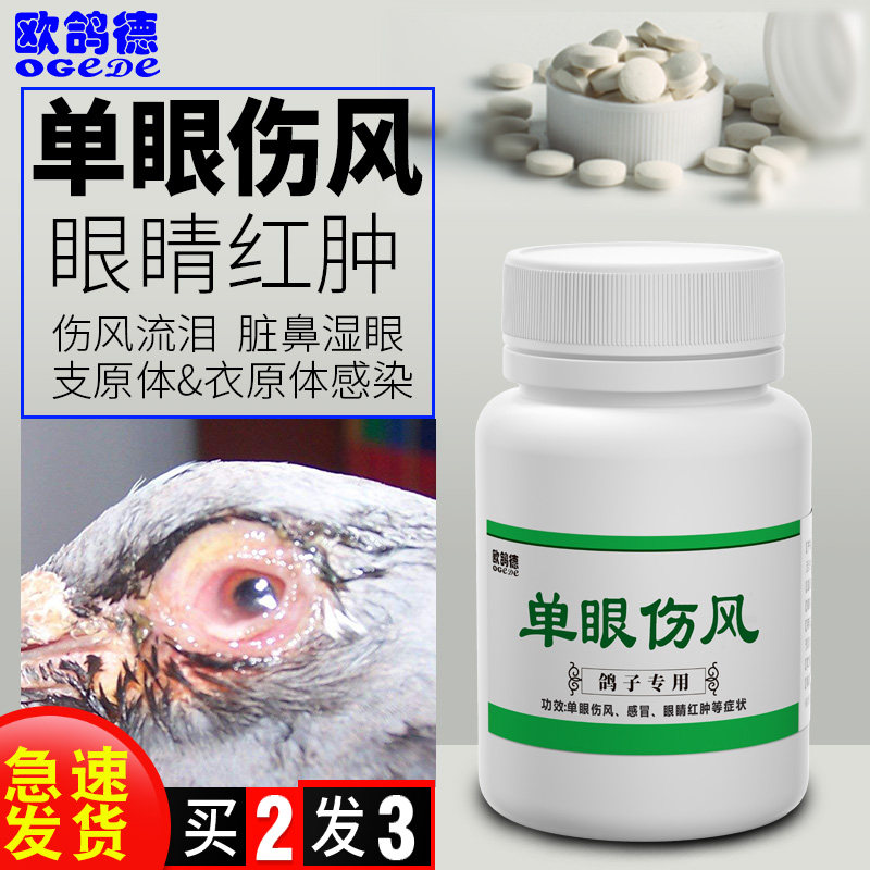 专治鸽子单眼伤风眼睛红肿流泪衣原体支原体专用药大全外用常见病