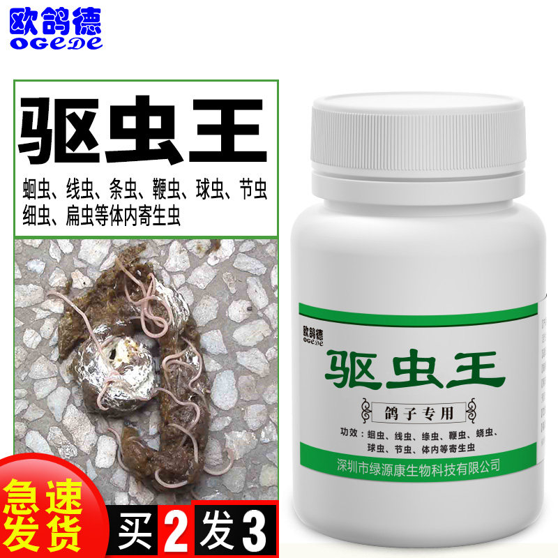 鸽子驱虫打虫特效药体内虫驱虫王肠道蛔虫鹦鹉信鸽用品大全常见病