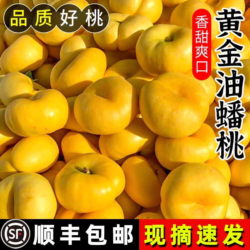 黄金油蟠桃新鲜水果应当季整箱