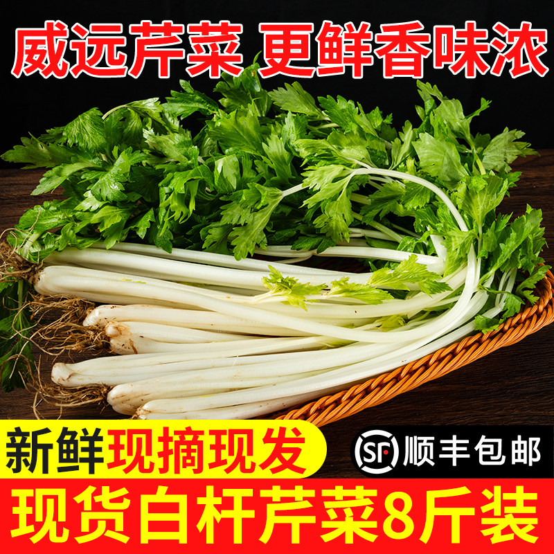 四川白芹菜本地新鲜蔬菜现摘农家当季香芹菜批发新鲜脆嫩根芹菜,水产肉类/新鲜蔬果/熟食,叶菜类,淘宝优惠券,粉丝福利购,淘宝优惠卷