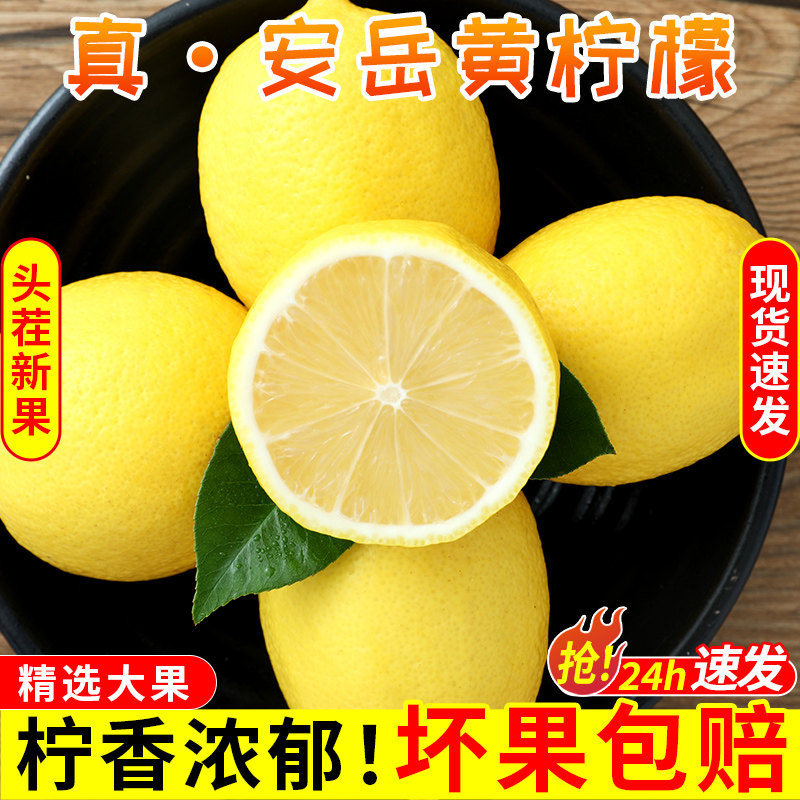 现摘新鲜安岳黄柠檬5斤装 当季整箱一级水果 皮薄青香型香水柠檬