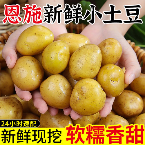 新鲜现挖 皮薄肉厚  软糯可口 精选挑选