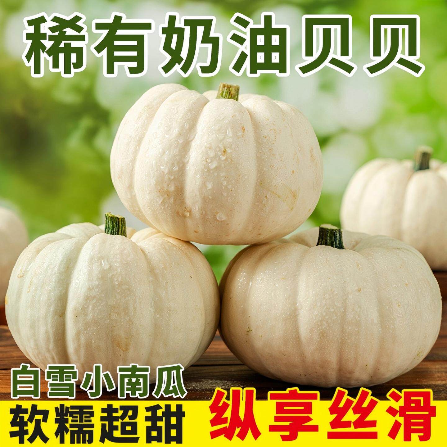 正宗奶油贝贝南瓜现摘白雪小南瓜老南瓜惠和软糯甜白贝贝