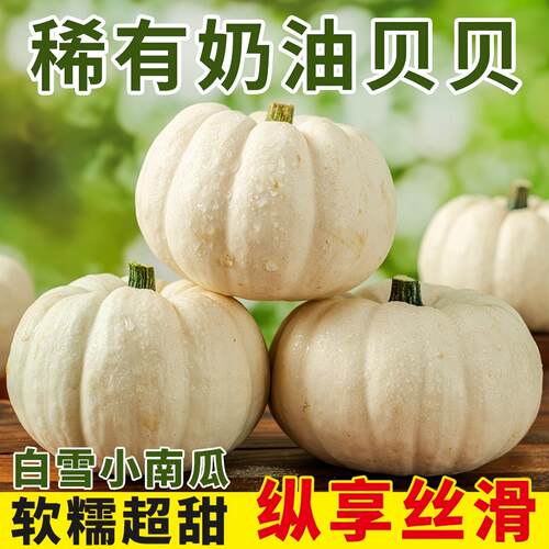 正宗奶油贝贝南瓜新鲜白雪小南瓜