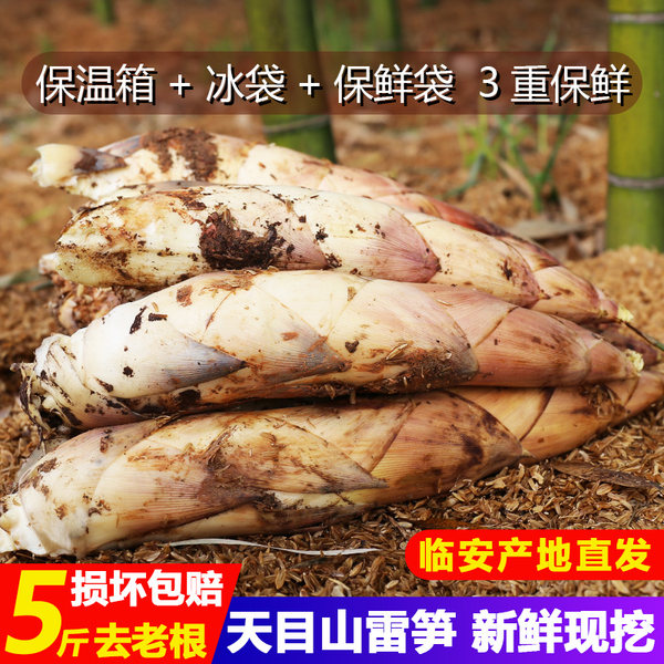 临安特产 薯小萌 天目山雷笋 竹笋 5斤 天猫优惠券折后¥24.9包邮(¥29.9-5) 临安特产 薯小萌 天目山雷笋 竹笋 5斤 天猫优惠券折后¥24.9包邮(¥29.9-5)