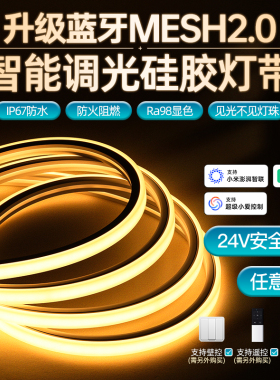 24v无极调光硅胶灯带柔性led灯条调色槽明装线性灯已接入米家App