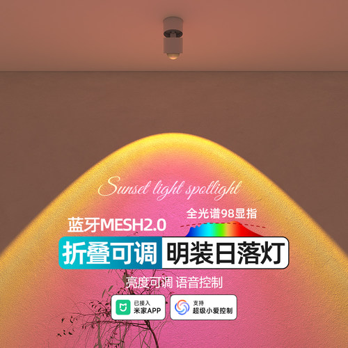 明装日不落射灯玄关过道走廊洗墙夕阳红氛围网红智能可调日落灯