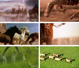 二胡曲赛马 配乐成品 奔驰的骏马 led动态视频素材 草原 马儿吃草