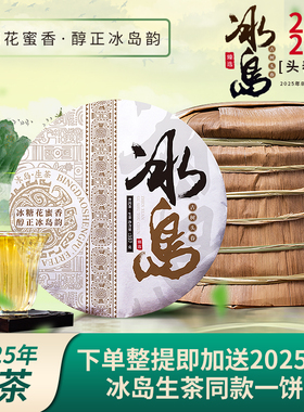 2025年春茶冰岛古树普洱茶生茶饼茶生普洱云南七子饼茶叶整提装