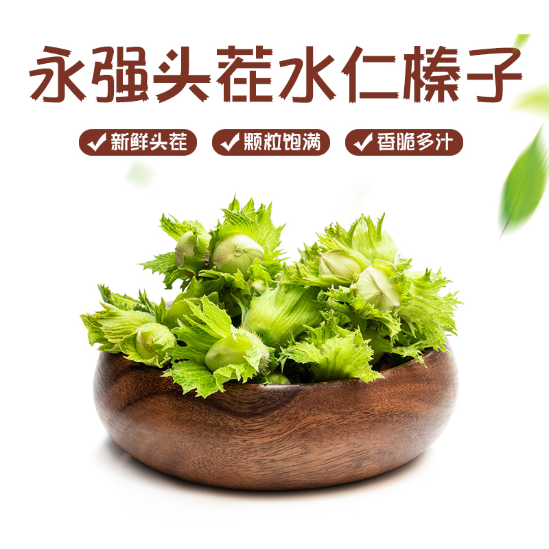 永强榛子铁岭头茬水仁榛子大颗粒饱满多汁3斤5斤产地直发