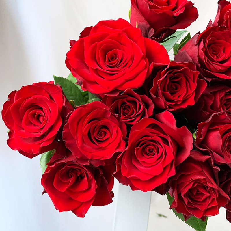 荔枝a级家养插花束优选闪送玫瑰