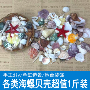 天然贝壳海螺鱼缸造景装饰品寄居蟹幼儿园儿童手工diy漂流瓶水族