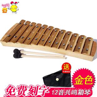 正品学校音15琴学生乐铝板琴音乐教具25音小木琴铁琴金属琴儿童打