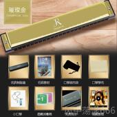 正品 初学者入门童学生用成人业演德奏级24孔复儿音 专嘉瑞口琴正品