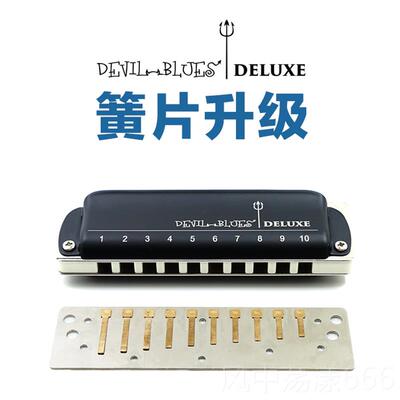 正品入门Dvil Blues 10十孔口乐琴e成人初学 蓝调布鲁斯口D琴B 演