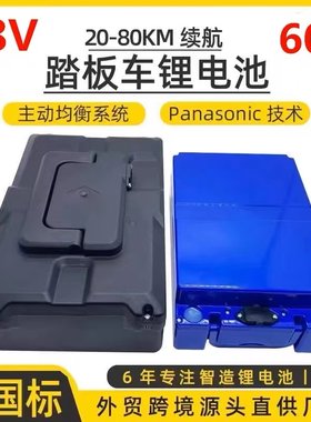 48V锂电池踏板电动车20A48V20A水泵48伏电瓶可拆卸60V20A抽水电池