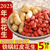 山东炒货炒熟四粒红带壳生花生农家自产新货红皮花生米原味大花生