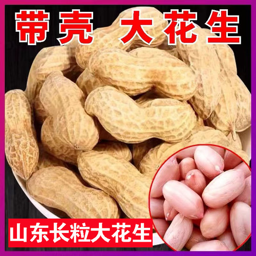 2025新货山东大粒带壳花生5斤