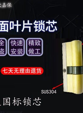 防盗门锁芯入户门C级叶片门锁锁芯欧嘉保