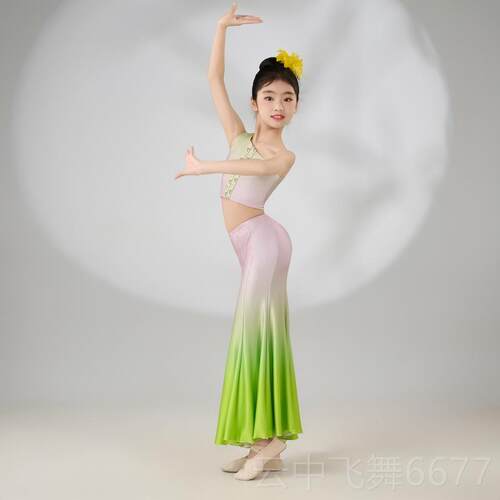 正品新款儿童傣服演出服幼儿鱼尾练舞裙习孔雀装舞族艺考服装民族