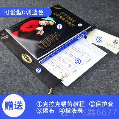 正品Clarke克克爱尔兰哨笛锡笛儿学萧笛专业金属童初笛子乐拉器D
