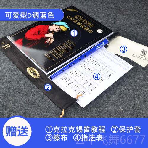 正品Clarke克克爱尔兰哨笛锡笛儿学萧笛专业金属童初笛子乐拉器D