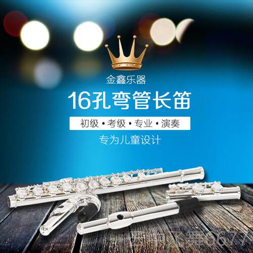 正品16C调镀银弯管笛专业演奏初学者孔专用双笛头白长铜管乐铜器