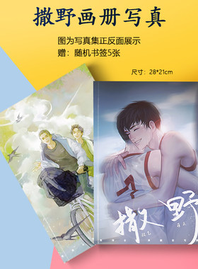 撒野画册集海报书签小卡徽章