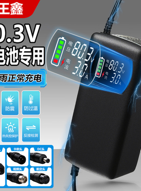 锂电池电动电瓶车快充充电器80.3V3A5A8A10A磷酸铁锂22串大功率