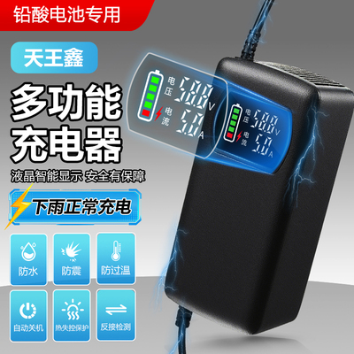 适用天能电池防水电动车充电器