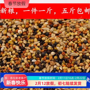 小型鹦鹉混合饲料文鸟虎皮太平洋小玄风一斤全价鸟粮五斤全国包邮