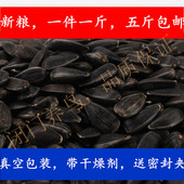 生黑珍珠小瓜子油磕籽鹦鹉鸟食饲料仓鼠零食鸟粮鸽粮5斤 包邮