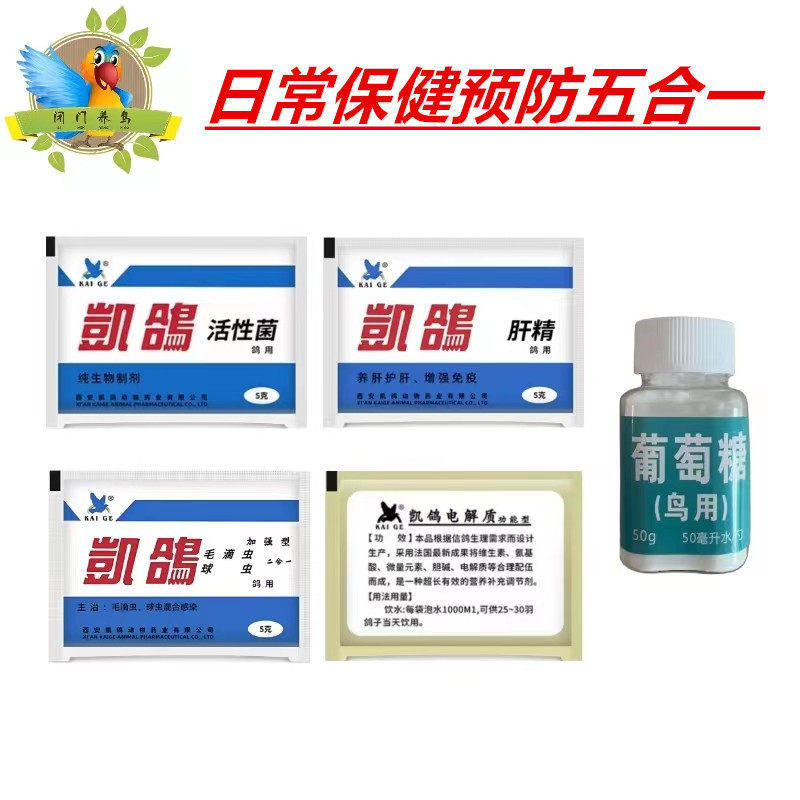 鹦鹉养殖用凯鸽肝精电解质球虫毛滴虫葡萄糖活性菌鹦鹉全套保健