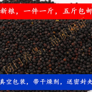 油菜籽牡丹虎皮鸟食鹦鹉饲料1斤五斤全国包邮东北鸟粮鹦鹉油料