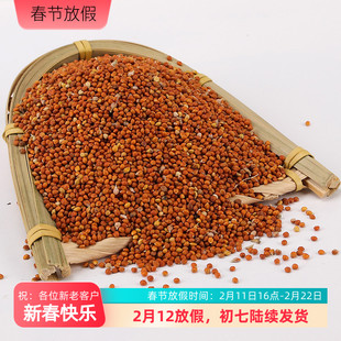 新红谷子带壳小米粟谷鸟食谷子东北新红谷子 一斤价格五斤包邮