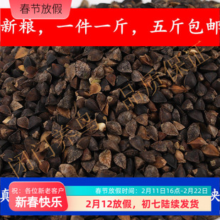 荞麦中大鹦鹉鸟粮鸽粮原荞麦带壳荞麦500克五斤包邮无公害鸟粮