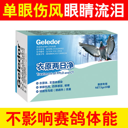 鹦鹉衣原净衣原净格莱德价格合理