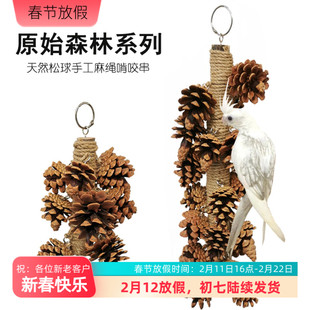 鹦鹉玩具 天然松果啃咬串虎皮牡丹玄凤松球娱乐鸟站架爬梯
