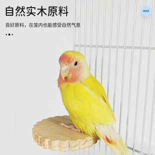 鹦鹉玩具实木平台鸟笼配件鸟用品用具仓鼠跳台可固定跳板虎皮站台