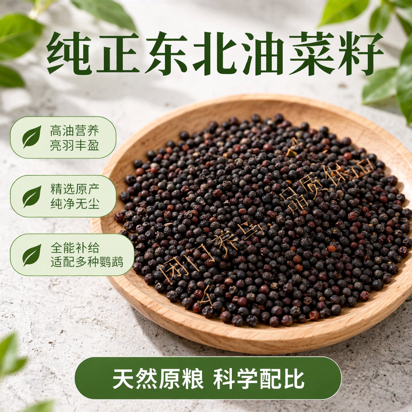 油菜籽牡丹虎皮鸟食鹦鹉饲料1斤五斤全国包邮东北鸟粮鹦鹉油料