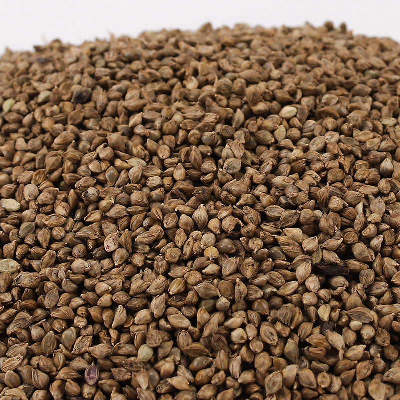 东北25年新粮草籽水稗子鹦鹉掉膘牡丹玄凤虎皮文鸟粮食饲料500g