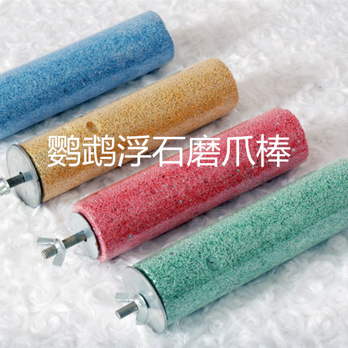 磨爪棒鹦鹉玩家闭门宠物火山石